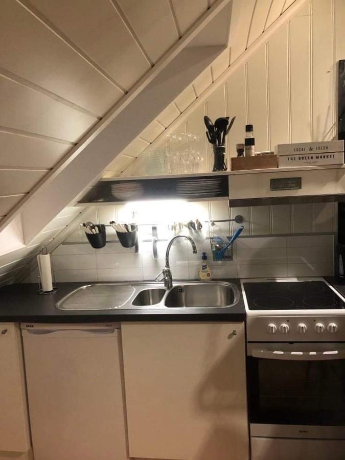 Koselig Garasjeloft! Apartment Langevag Ngoại thất bức ảnh
