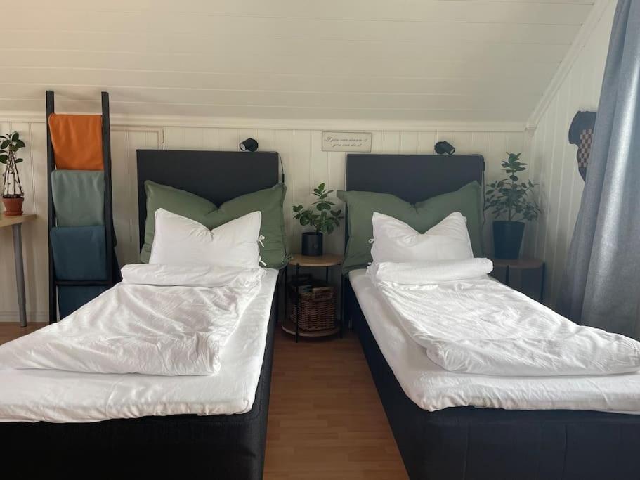Koselig Garasjeloft! Apartment Langevag Ngoại thất bức ảnh